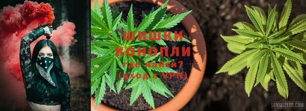 дурь Липки