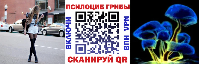 Псилоцибиновые грибы Psilocybe  Лахденпохья 